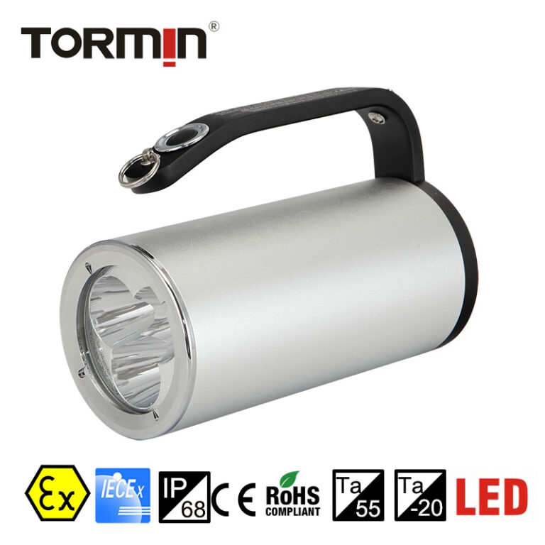 BW7101A / BW7101B — Portable explosion-proof light
