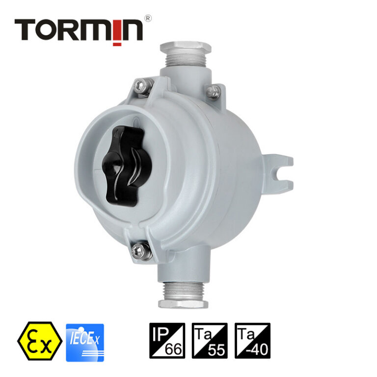 BZM Explosion-Proof Lighting Switch — product image
