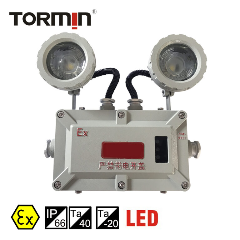 BC5200 Explosion-Proof Twin-Head Emergency Light — product image