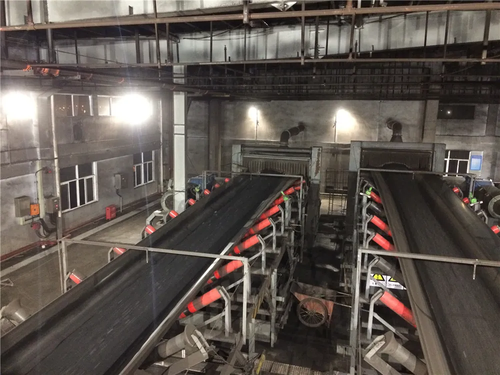 Huaneng Nantong: Coal Handling and Ship-Unloader Lighting — site photograph 5