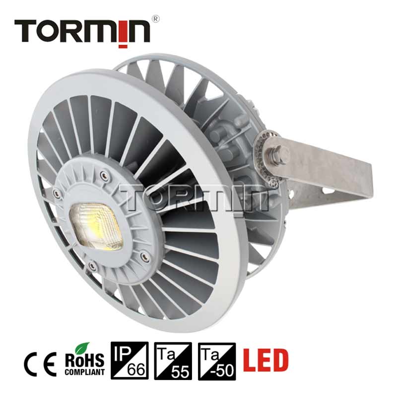 ZY8605S Surface-Mounted LED Light — product image