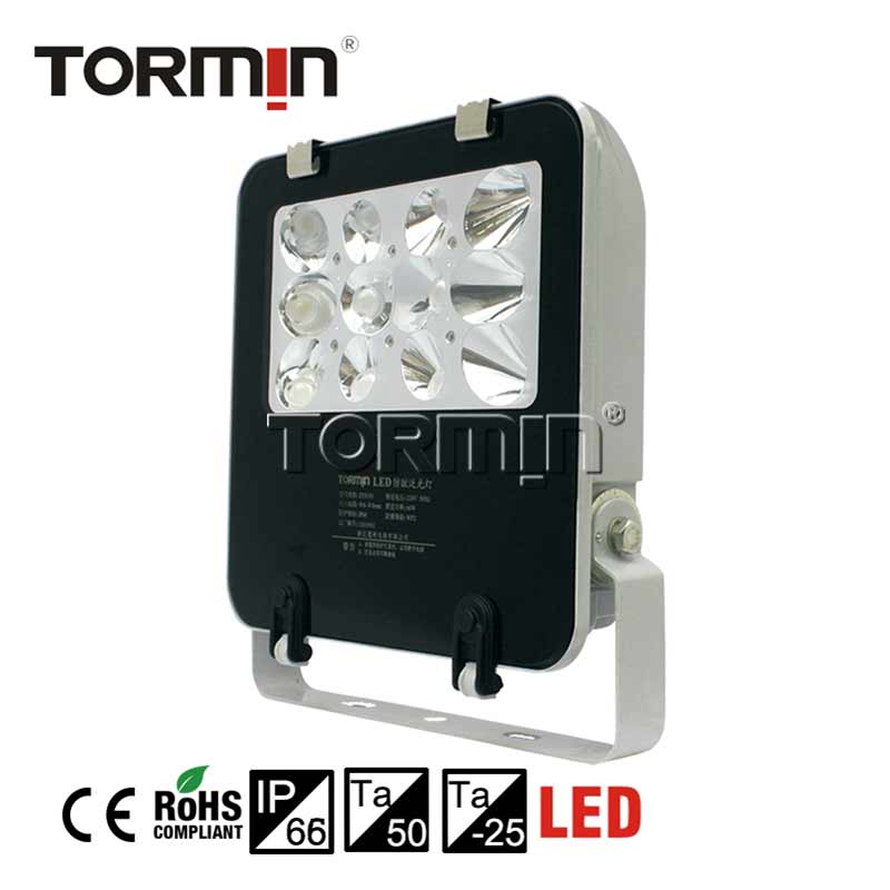 ZY8101A, ZY8101B LED Emergency Floodlight — product image