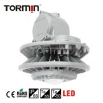 ZY8603P LED Area Light — product image