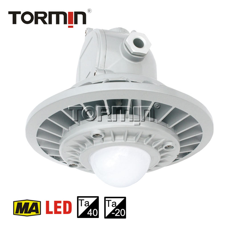 DGS20–45/127L(C) Explosion-Proof Mining Tunnel Lights — product image