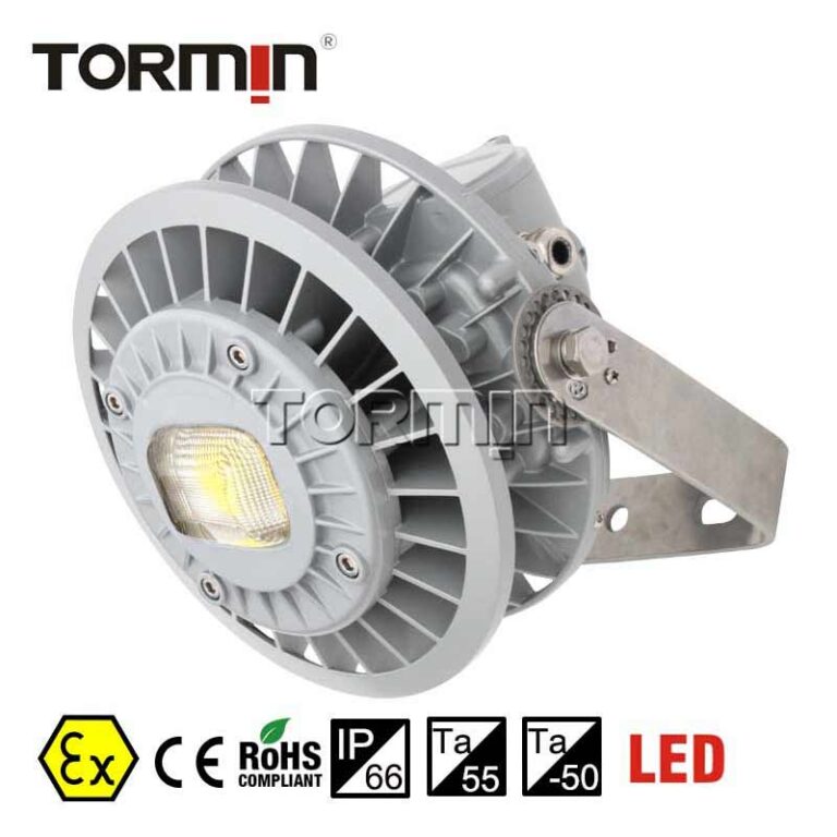BC9306S Explosion-Proof LED Floodlight — product image