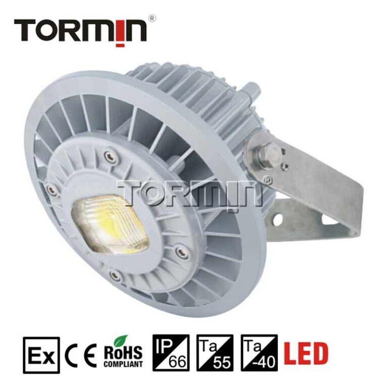 BC9308S Explosion-Proof LED Floodlight — product image