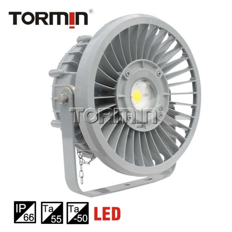 ZY9710 High-Power LED Light — product image
