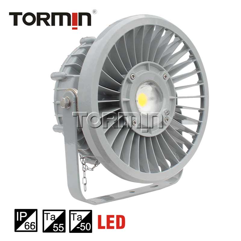 ZY9710 High-Power LED Light — product image