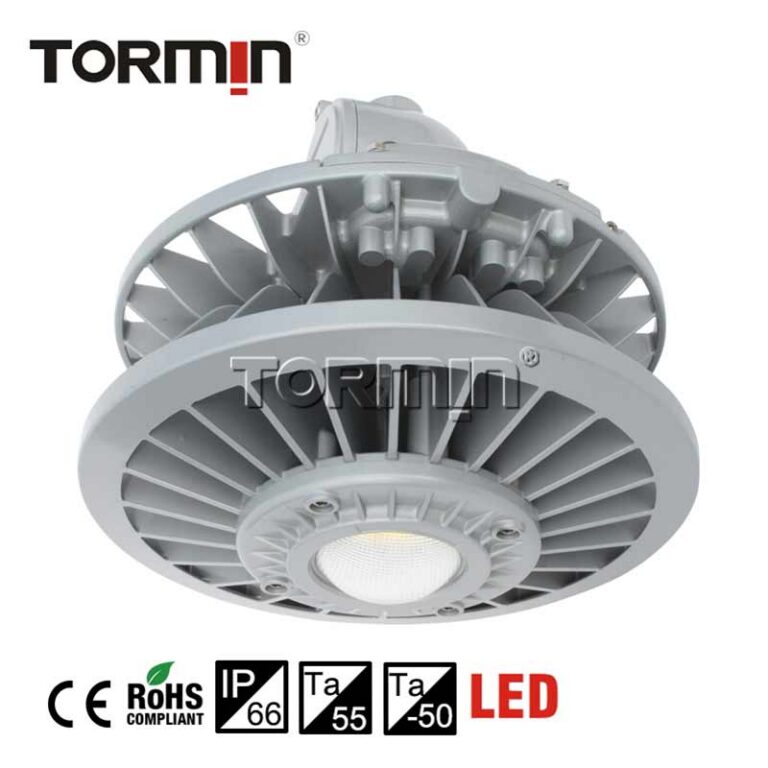 ZY8605P LED Area Light — product image