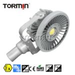 BC9700 Pole-Mounted Explosion-Proof Floodlight — product image