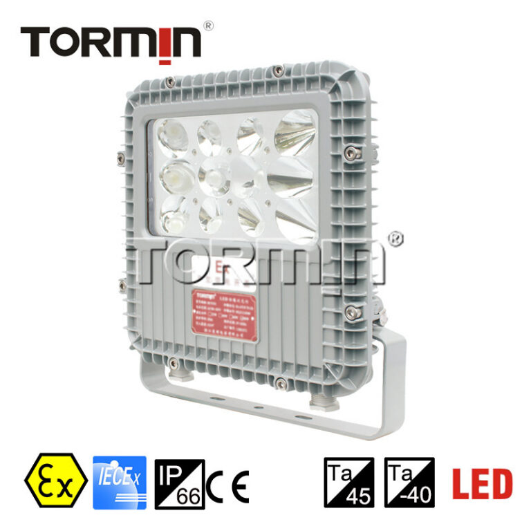 TORMIN BC9101 luminaire