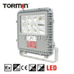 BC9101A, BC9101B Explosion-Proof Emergency Floodlight — product image