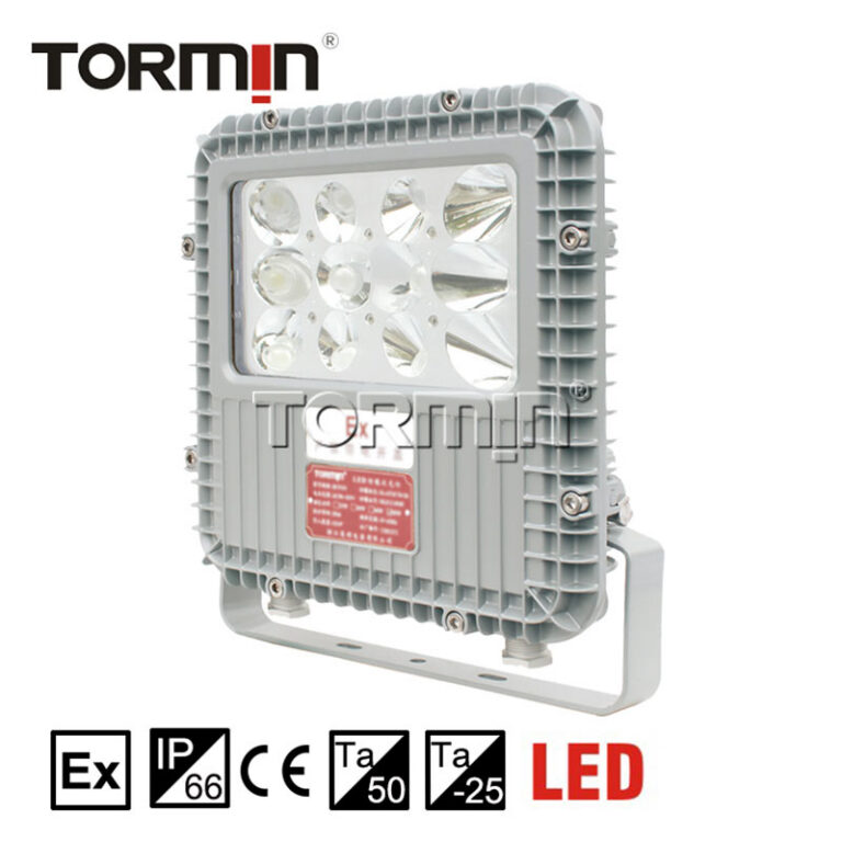 BC9101A, BC9101B Explosion-Proof Emergency Floodlight — product image