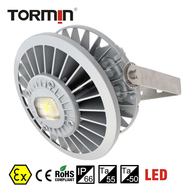 BC9307S Explosion-Proof LED Floodlight — product image