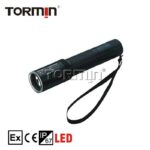 BW7300A, BW7300B Explosion-Proof Flashlight — product image
