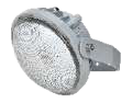 BC9313P / BC9313S Explosion-Proof Area Light — product image