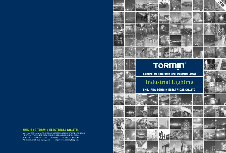 TORMIN Product Brochure — 2023 first page